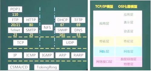 中级软件设计师软考 计算机网络与安全及网络与信息安全软件开发笔记