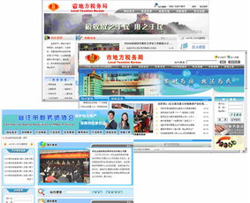 地方税务局互联网网站软件开发及系统集成的网络与信息安全软件开发实践