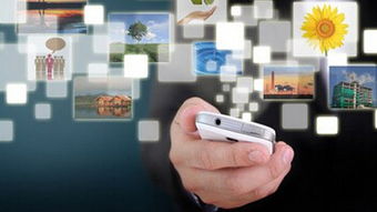 延吉市鹏大软件科技 深耕网络与信息安全软件开发的专业力量